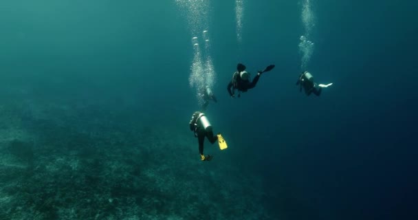 Buceadores Nadando Bajo Agua Océano Pacífico Buceo Perfecto Para Ocio — Vídeo de stock