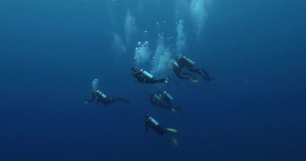 斯库巴潜水者在太平洋的水下游泳 在清澈的蓝水中潜水和度假是完美的选择 — 图库视频影像