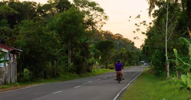 Bohol Road Motorbike Phillipines Road Surrounded Palm Tree Forest Aerial — Stok Video