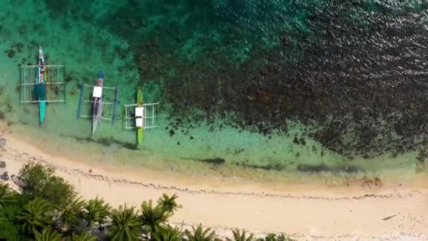 从空中俯瞰菲律宾El Nido海滩的船只 水是清澈的 靠近沙地和棕榈树的绿松石 非常适合在暑假进行休闲活动 — 图库视频影像