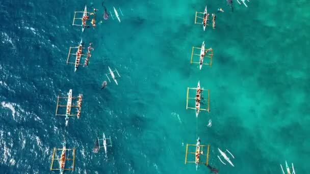 Légi Felvétel Egy Drónnal Emberek Felett Akik Búvárkodnak Bálna Cápák — Stock videók