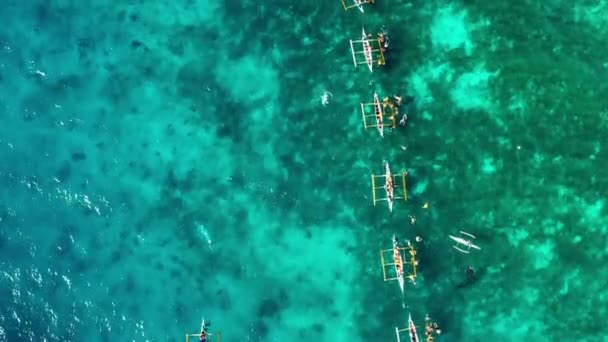 用无人机俯瞰蓝海鲸鲨附近的人们的空中景象 它们与美丽的动物4K一起在靠近大海中央的小船上 — 图库视频影像