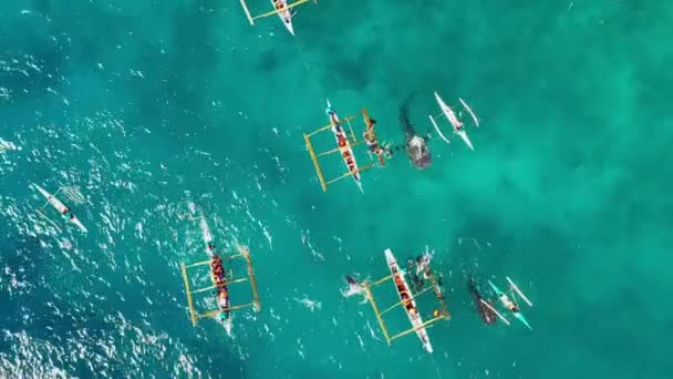 Lidé Potápějí Poblíž Velrybích Žraloků Modrém Oceánu Jsou Blízko Lodi — Stock video