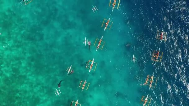 Вид Воздуха Беспилотником Над Людьми Ныряющими Рядом Китовыми Акулами Голубом — стоковое видео