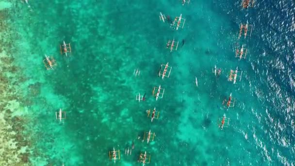 Vista Aérea Com Drone Sobre Pessoas Mergulhando Perto Tubarões Baleia — Vídeo de Stock