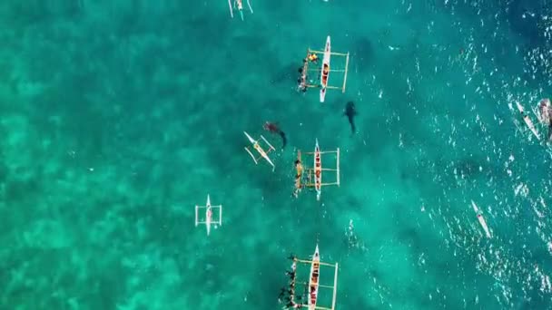 Gente Zambulle Cerca Tiburones Ballena Océano Azul Están Cerca Del — Vídeo de stock