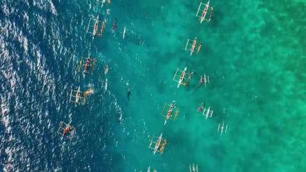 Люди Ныряют Возле Китовых Акул Голубом Океане Рядом Лодкой Посреди — стоковое видео