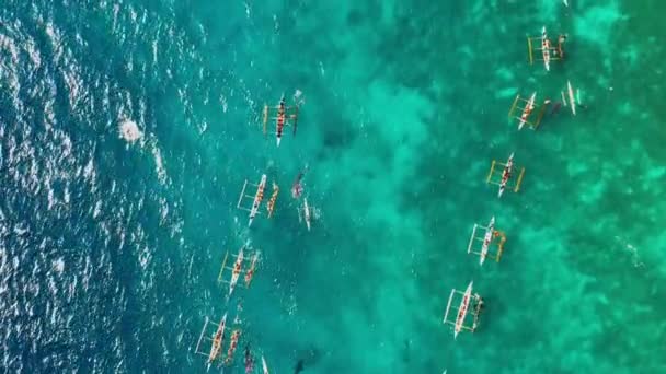 Emberek Búvárkodnak Kék Óceán Cápái Közelében Közel Vannak Hajó Közepén — Stock videók