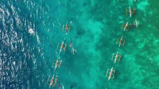 Mensen Snorkelen Buurt Van Walvishaaien Blauwe Oceaan Zijn Buurt Van — Stockvideo