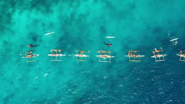 Lidé Šnorchlují Poblíž Velrybích Žraloků Modrém Oceánu Jsou Blízko Lodi — Stock video