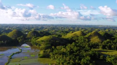 Bohol, Filipinler 'deki Chocolate Hills' teki pirinç tarlaları. Ufuk boyunca uzanan güzel yeşil tepeler ve pirinç tarlaları, mavi gökyüzünün altında. 4K dronlu hava manzaralı.