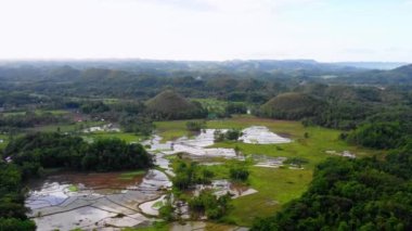 Bohol, Filipinler 'deki Chocolate Hills' te pirinç tarımı. Ufuk boyunca uzanan güzel yeşil tepeler ve pirinç tarlaları - İHA 4K ile hava manzarası