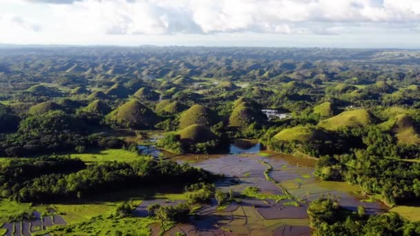 Blick Mit Einer Drohne Über Die Chocolate Hills Von Bohol — Stockvideo