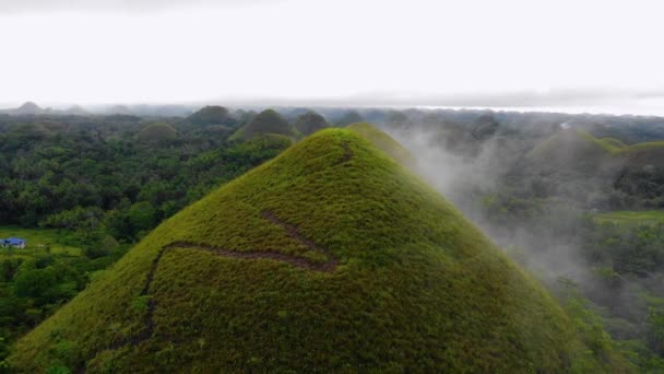 Close Zicht Een Heuvel Chocolate Hills Van Bohol Bedekt Met — Stockvideo