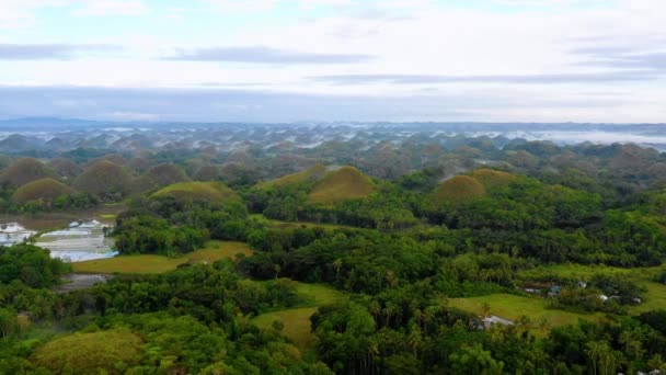 フィリピンの霧に覆われたボホールのチョコレートヒルズ 水平線の至る所に美しい緑の丘と木々 ドローン4Kでの空中ビュー — ストック動画