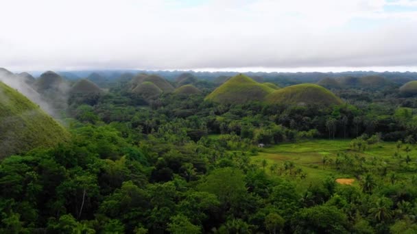 Csokoládés Bohol Dombok Ködben Fülöp Szigeteken Gyönyörű Zöld Dombok Fák — Stock videók