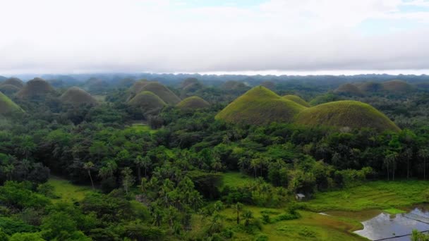 필리핀의 보홀에 초콜릿 힐스는 안개로 있습니다 지평선 아름다운 나무들 하늘을 — 비디오