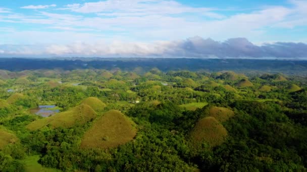 Chocolate Hills Bohol Filipinas Hermosas Colinas Verdes Árboles Por Todo — Vídeos de Stock