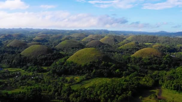 フィリピンのボホールのチョコレートヒルズ 青い空の下 地平線の至る所に美しい緑の丘と木々 ドローン4Kでパノラマの空撮 — ストック動画