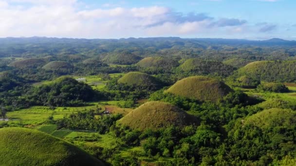 フィリピンのボホールのチョコレートヒルズ 青い空の下 地平線の至る所に美しい緑の丘と木々 ドローン4Kでパノラマの空撮 — ストック動画
