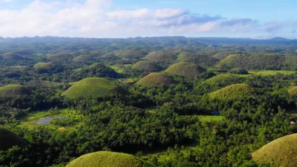 Chocolade Heuvels Van Bohol Filippijnen Prachtige Groene Heuvels Bomen Aan — Stockvideo