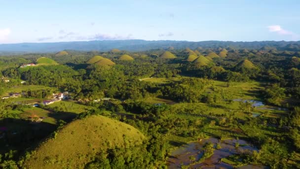 フィリピンのボホールのチョコレートヒルズの田んぼ 青い空の下 地平線の至る所に美しい緑の丘と米の農場 ドローン4Kでの空の景色 — ストック動画