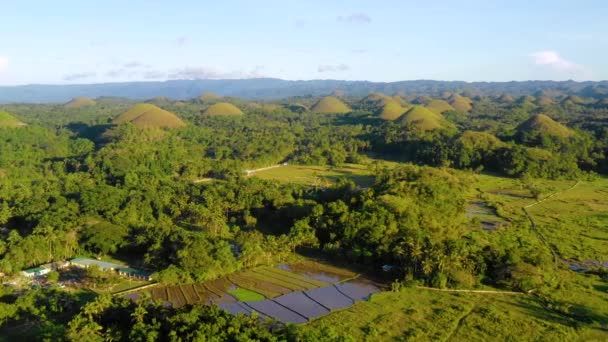 Ladang Padi Chocolate Hills Bohol Filipina Bukit Hijau Yang Indah — Stok Video