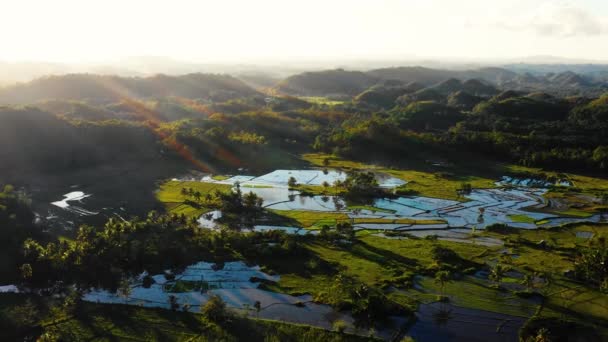 Rice Fields Chocolate Hills Bohol Philippines Beautiful Green Hills Rice — Stockvideo