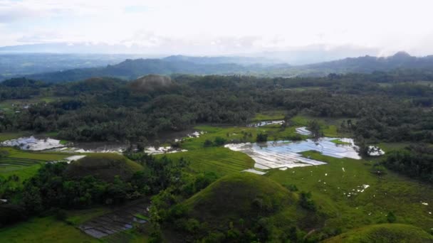 Risfältsjordbruk Chocolate Hills Bohol Filippinerna Vackra Gröna Kullar Och Ris — Stockvideo