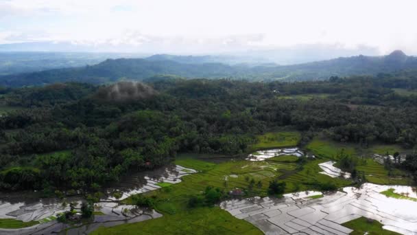 Agriculture Rizicole Chocolate Hills Bohol Philippines Superbes Collines Verdoyantes Rizières — Video