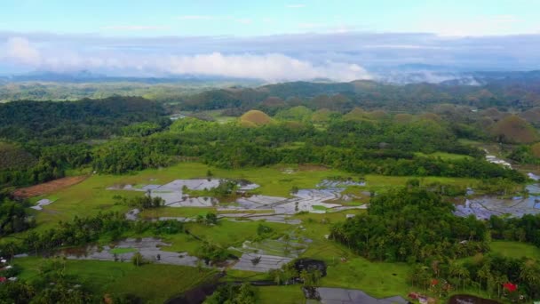 Filipinler Bohol Daki Chocolate Hills Pirinç Tarlaları Üzerinde Hava Manzarası — Stok video