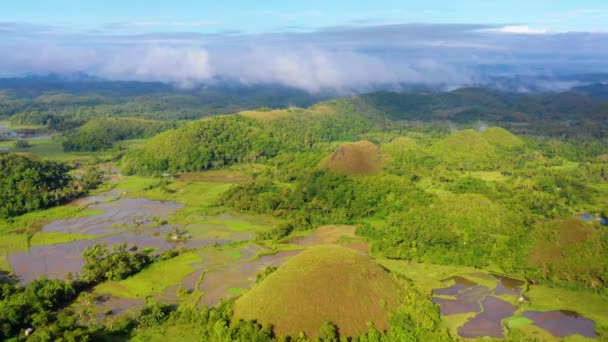 Luchtfoto Rijstveld Landbouw Chocolate Hills Bohol Filippijnen Prachtige Groene Heuvels — Stockvideo