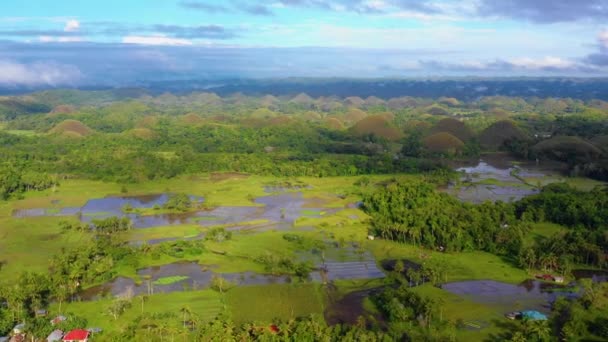 Pemandangan Udara Atas Pertanian Sawah Bukit Cokelat Bohol Filipina Bukit — Stok Video