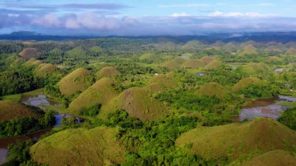 フィリピンのボホールのチョコレートヒルズでの水田農業の空中ビュー 地平線に広がる美しい緑の丘と田んぼ — ストック動画