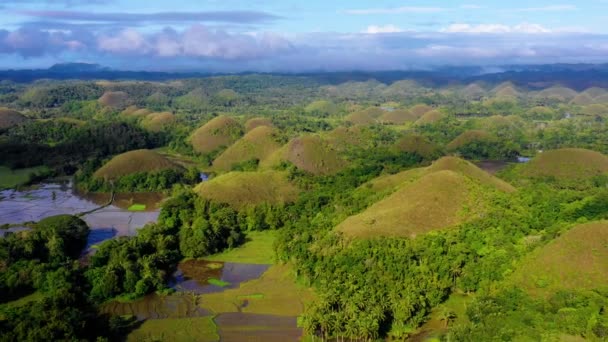 フィリピンのボホールのチョコレートヒルズでの水田農業の空中ビュー 地平線に広がる美しい緑の丘と田んぼ — ストック動画