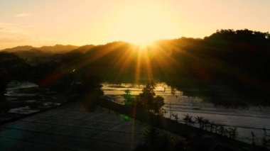 Filipinler, Bohol 'da pirinç tarlası. Ufuk boyunca uzanan güzel yeşil pirinç çiftliği, turuncu bir günbatımının altında - 4K dronlu hava manzaralı