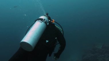 Underwater footage of a diver having amazing time discovering.