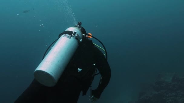 Underwater Footage Diver Having Amazing Time Discovering — 图库视频影像