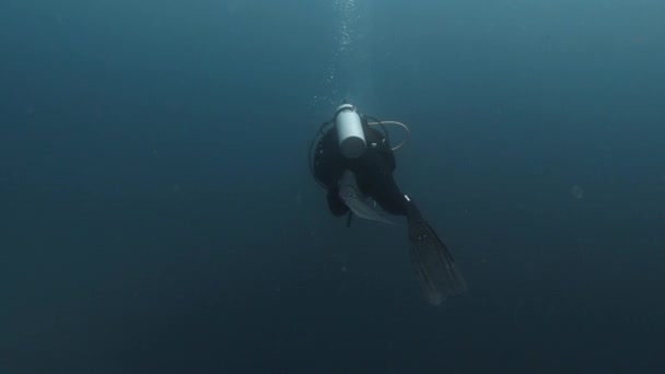 Scuba Diver Exploring Alone Pacific Ocean Full Equipment — Stockvideo