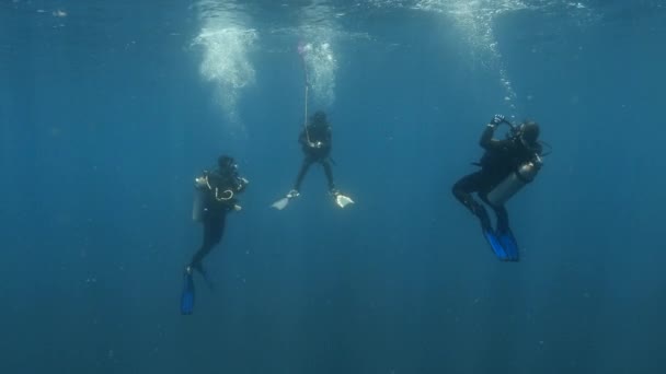 Medium Underwater Shot Showing Three Divers Making Safety Stop — Wideo stockowe