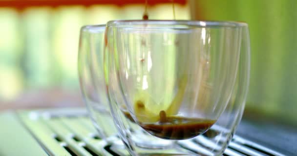 Expresso Coffee Dripping Machine Transparent Cup — Stockvideo