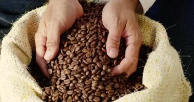 Two hands lift a bunch of brown coffee grounds from a fabric bag.