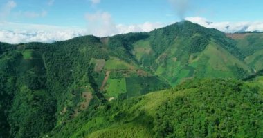 A cloud touching green summit covered with dense forests.