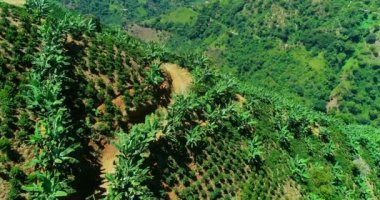 A helicopter shot of large verdant mountains and a deep valley.