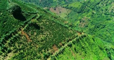 Verdant wide Colombian heights look bright under the summer's sun.