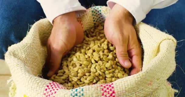 Seller Showing His Raw Uncooked Coffee Beans His Hands — Stock video