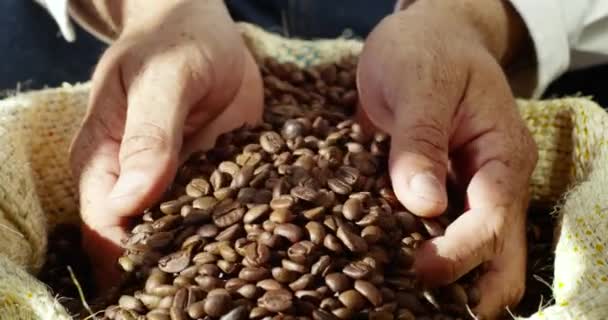 Close Shot Two Hands Flipping Brown Coffee Beans Bag — 图库视频影像