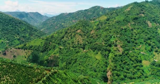 Beautiful Mountainous View Colombian Wilderness — Wideo stockowe