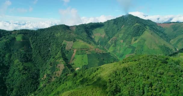 Cloud Touching Green Summit Covered Dense Forests — Stok video