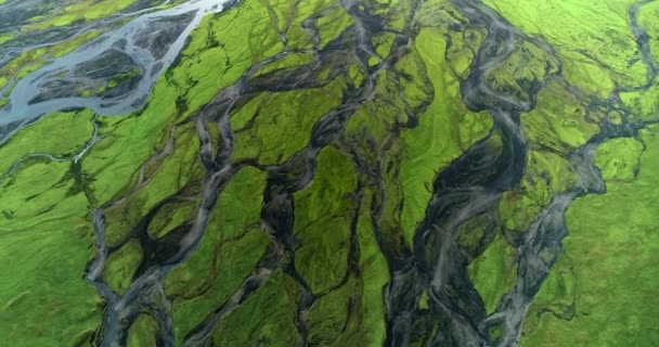 アイスランドの緑の平原にある小さな小川 運河を流れる小川をカメラが追跡し 一緒に美しい景色に参加します 映像には 小川が突き抜けている鮮やかな緑の土地の素晴らしい背景があります — ストック動画
